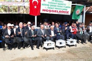 Vali Erol, Akku� �eker fasulyesi hasat �enli�ine kat�ld�